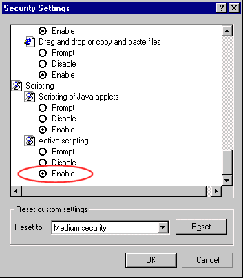 Internet Explorer 4