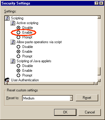 Internet Explorer 5
