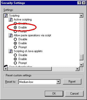 Internet Explorer 6